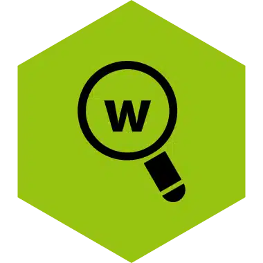 NDIS-Specific Keyword Research